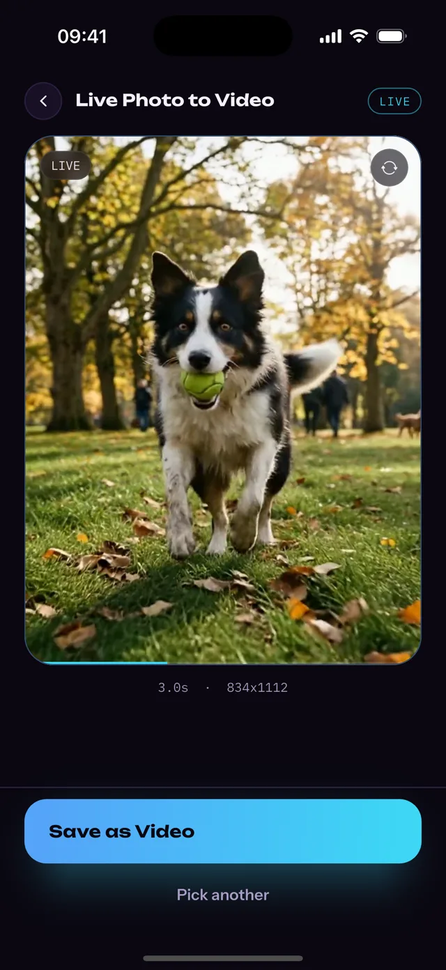 A Live Photo playing in the Picto.Video iOS app before it is saved as a video