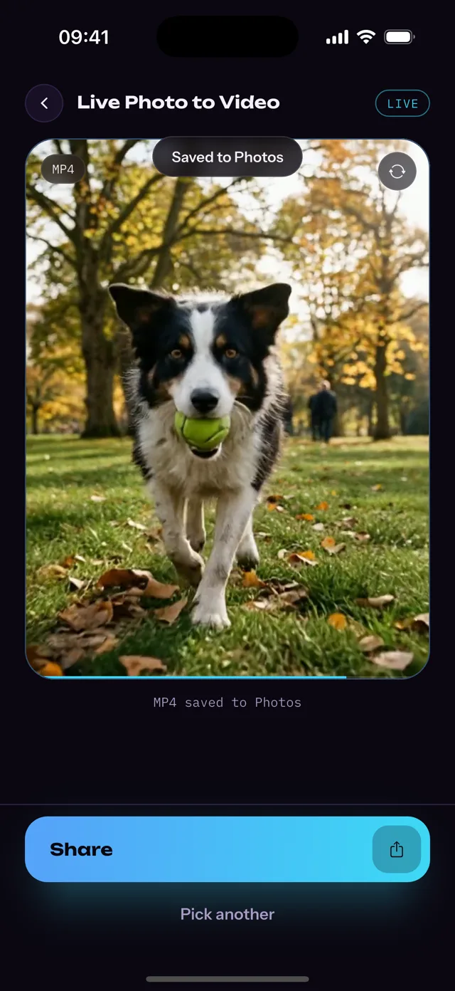 The saved MP4 with the Share button in the Picto.Video iOS app